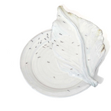 3D Ant Colonie Dinner Plate