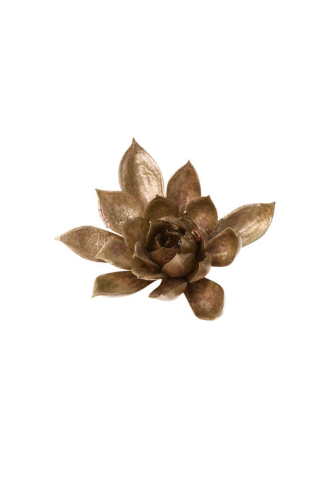 lotus shaped succulent Latondra Bronze Pink Lotus Succulent Medium 2 – A'MAREE'S