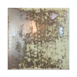 Pierce Meehan DESTRUCTION SERIES
