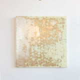 Pierce Meehan DESTRUCTION SERIES