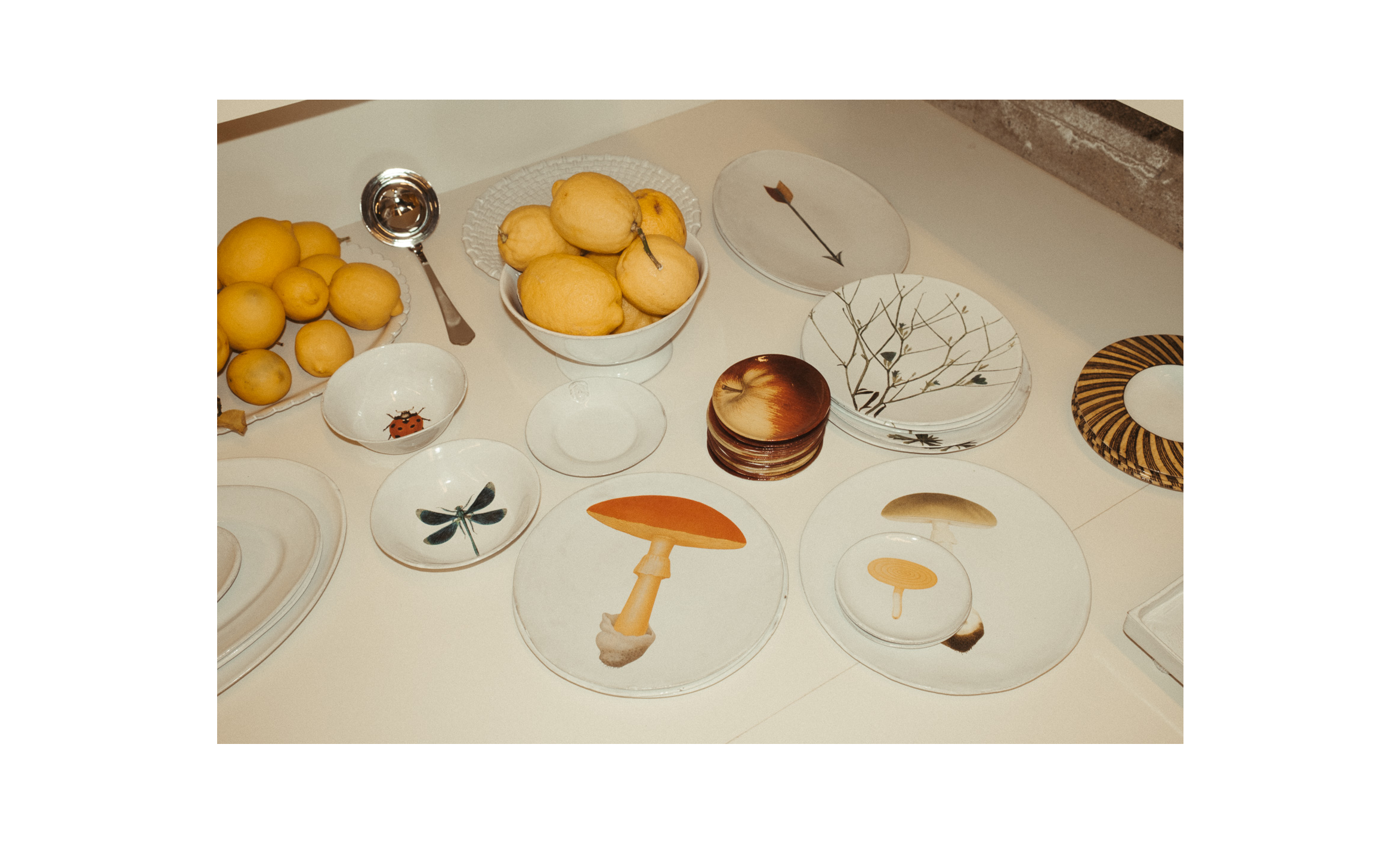 ASTIER DE VILLATTE