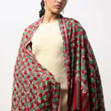 Yaser Shaw Embroidered Shawl - Red/Green Spirals