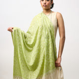 Yaser Shaw Embroidered Shawl - Green/Ivory