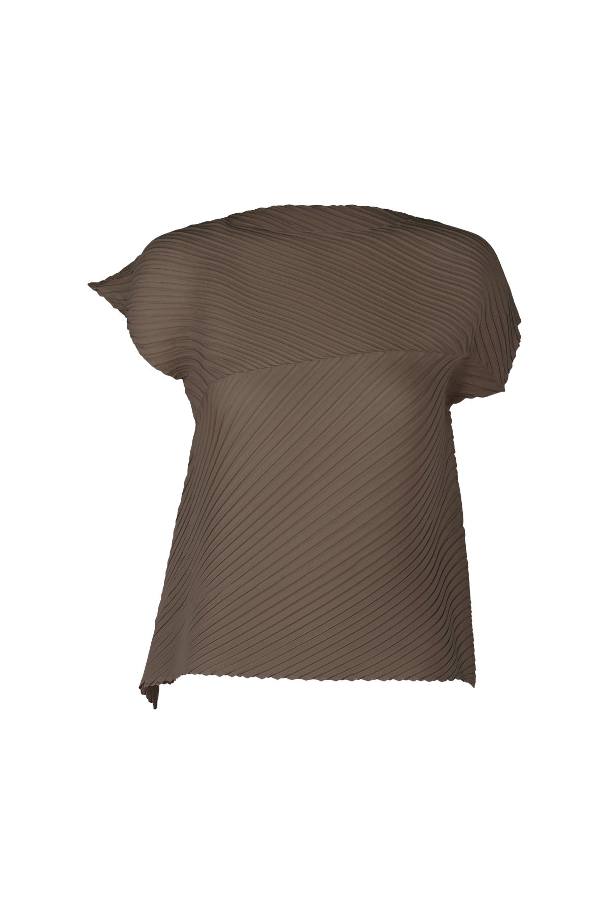 Issey Miyake Plaster Pleats Solid Blouse