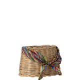 Daniela Gregis Cima Basket