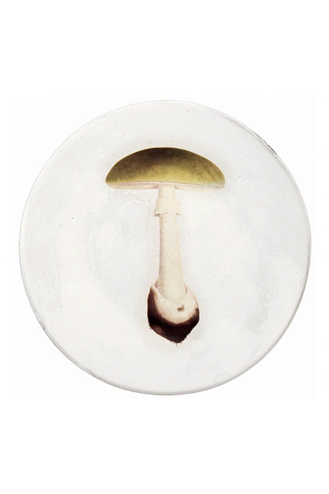 Agaric Bulbeux Dinner Plate