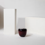Light Reign Handblown Apple Candle