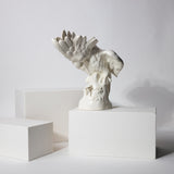 Julius Nymphenburg Porcelain Cockatoo height: approx 13”