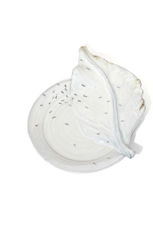 3D Ant Colonie Dinner Plate