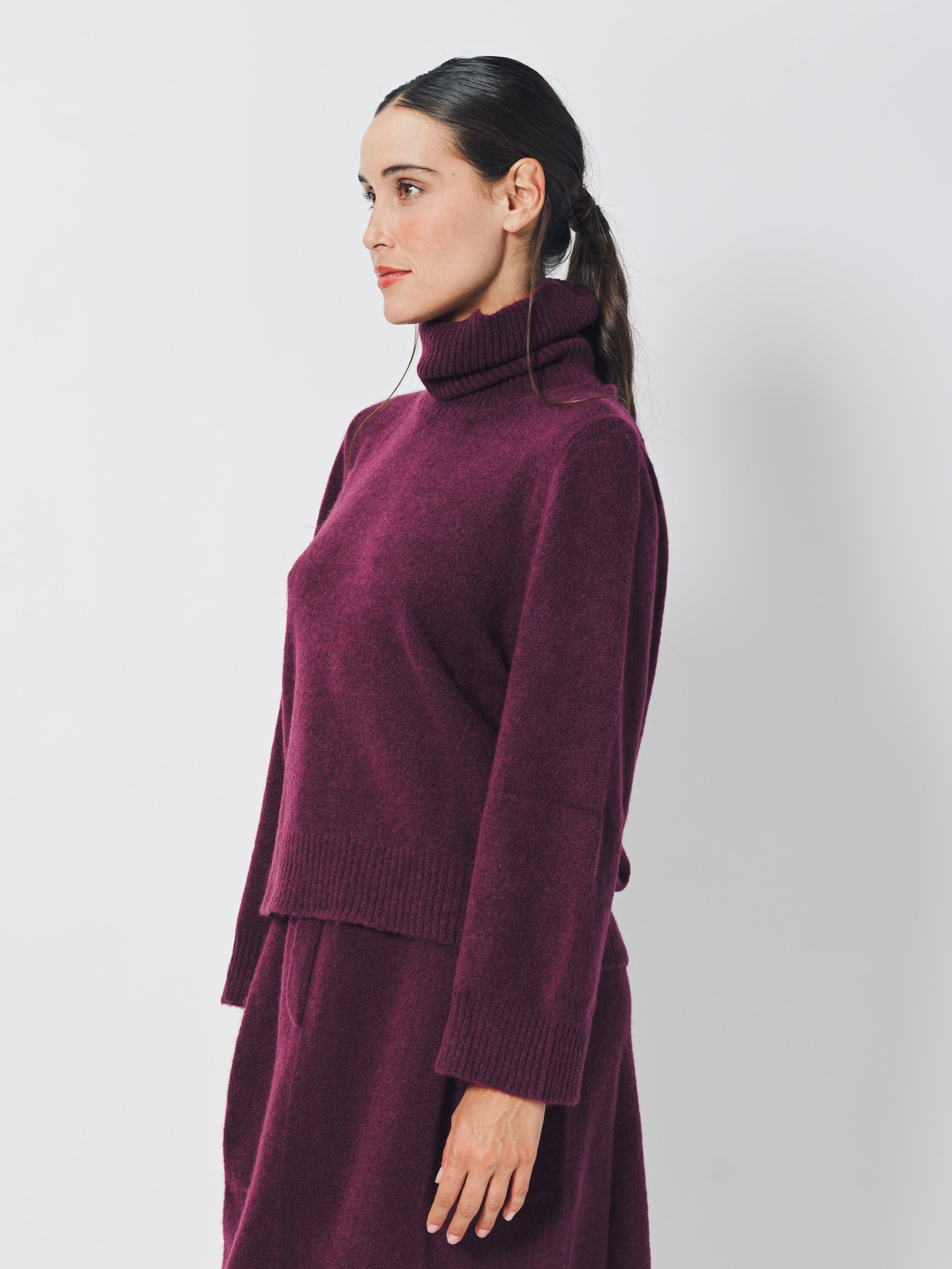 Boboutic Cashmere/Silk Turtleneck Sweater XS / Cherry