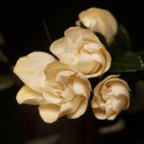 Arquiste Boutonniere - 100ml