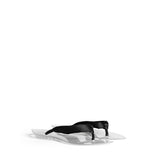 Invisible Padded Thongs