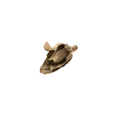 Latondra Bronze Closed Flower