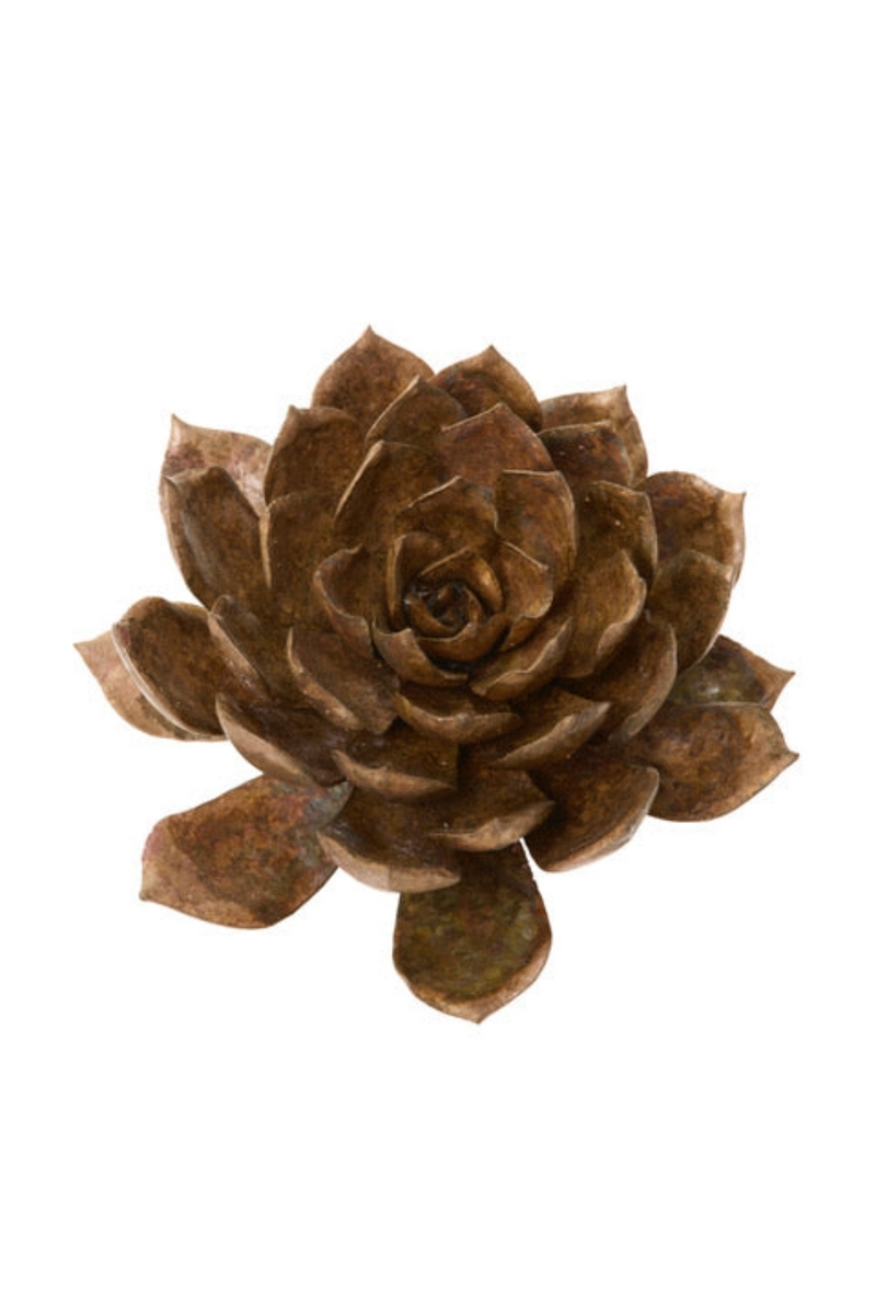 Bronze Extra Large Aeonium Succulent
