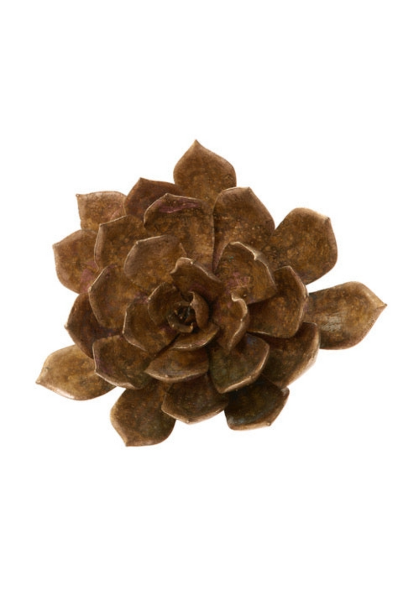 Bronze Extra Large Aeonium Succulent