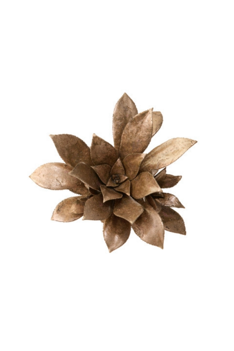 Bronze Sempervivum Succulent Medium