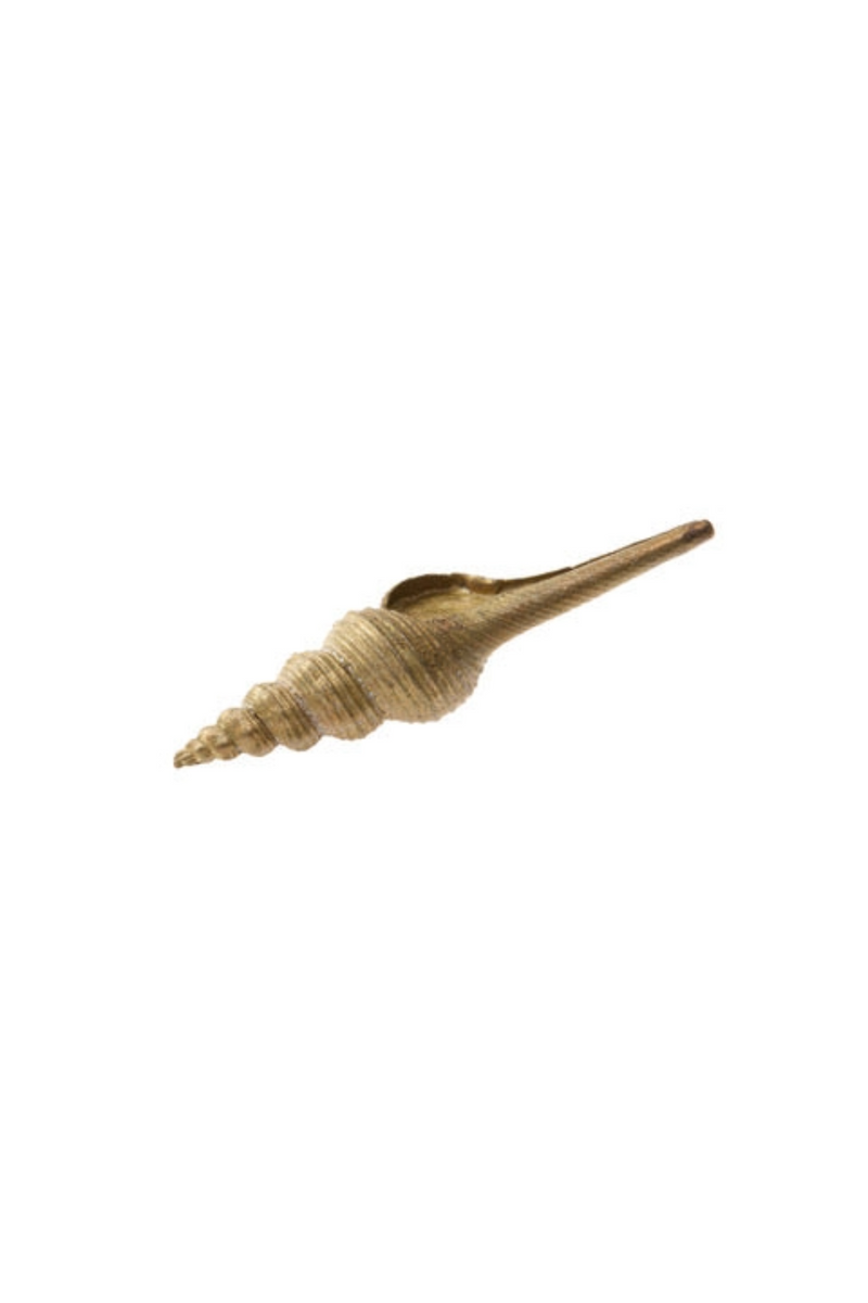 Bronze Spiral Shell