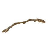 Latondra Bronze Spring Twig 1