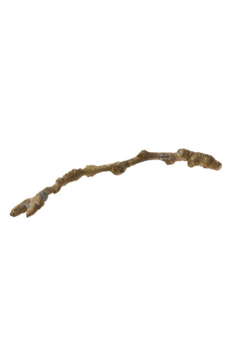 Bronze Spring Twig 1