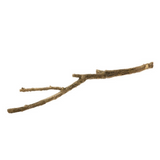 Latondra Bronze Spring Twig 3