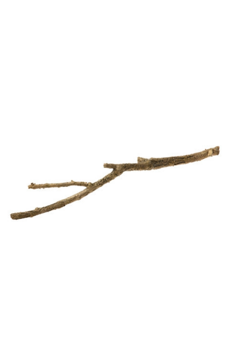 Bronze Spring Twig 3