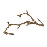Latondra Bronze Spring Twig 2