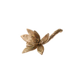 Latondra Bronze Stemmed Succulent Medium