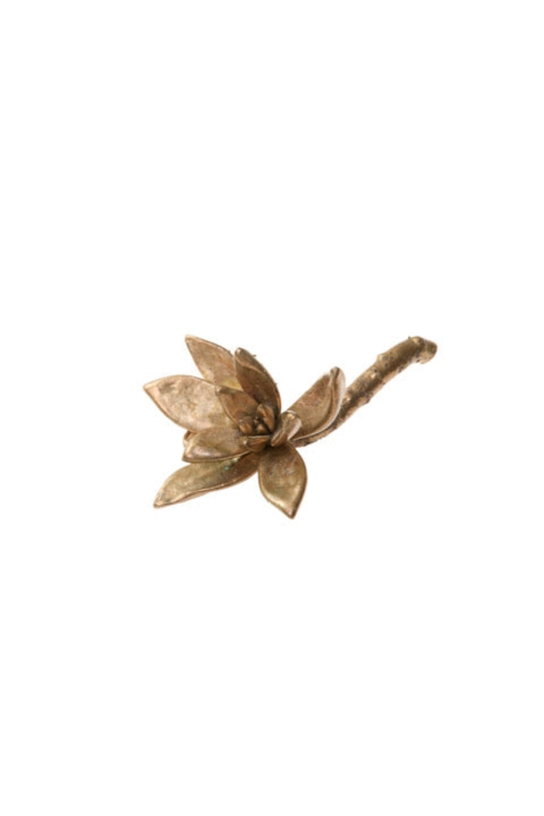 Bronze Stemmed Succulent Medium