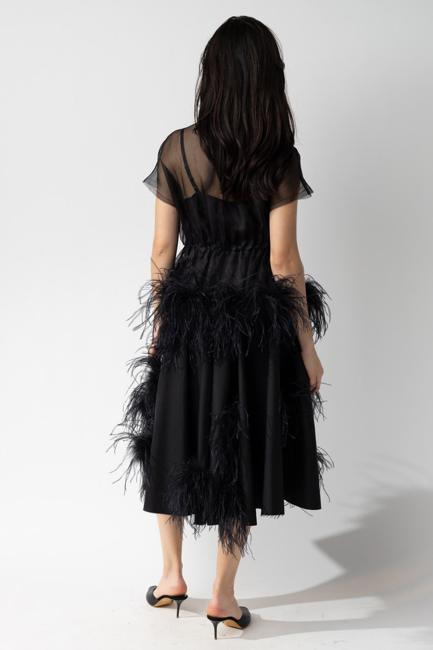 Skirt with Feathers