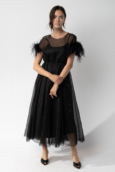 Organza Dress with Feathers