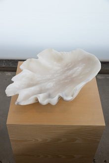 Petal