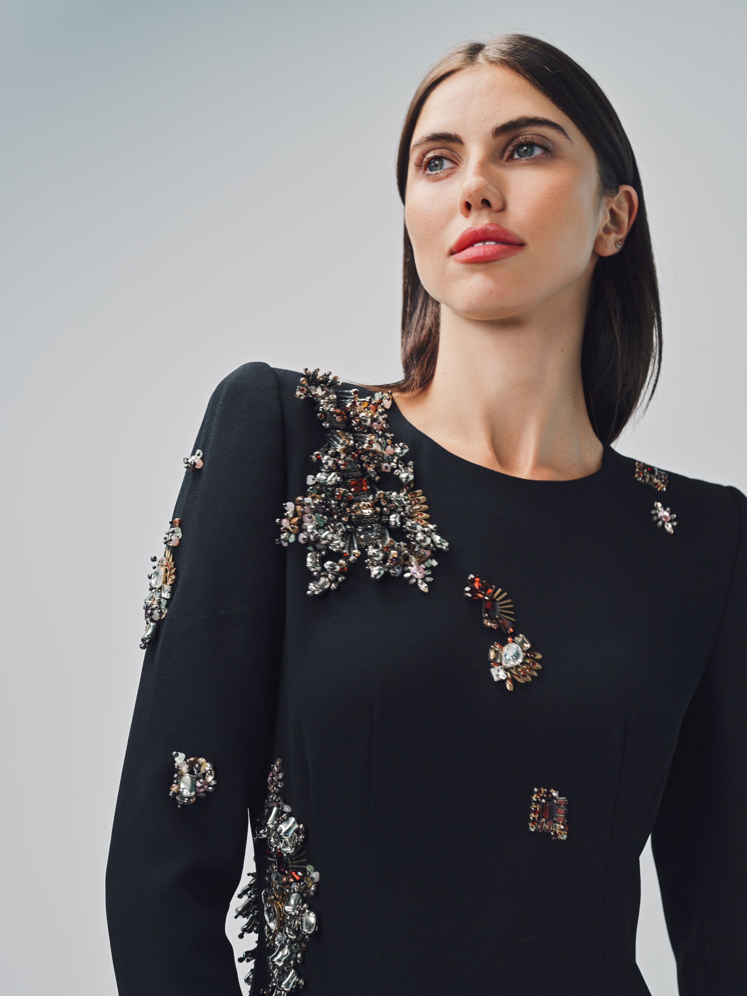 Dries Van Noten Dalista Embroidered Dress Black / 36