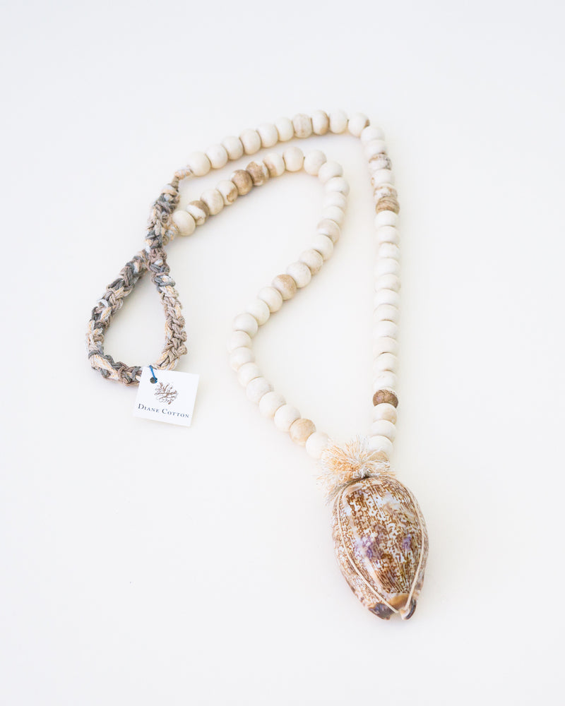 African Bone Cowrie
