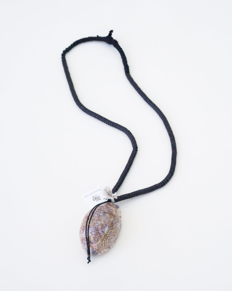 Bone African Cowrie Shell