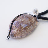 Bone African Cowrie Shell