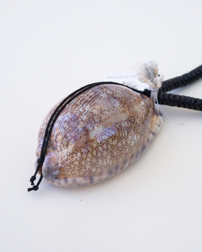 Bone African Cowrie Shell