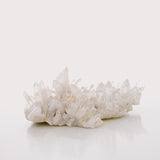 Clear Quartz Cluster