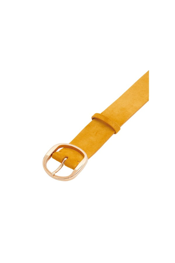 Buckle view of golden birch elster belt on white background, with no model shown.