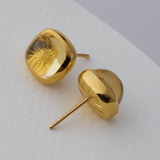 Hargreaves Citrine Earrings