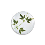 Astier-de-Villatte-Drachocephalum-leaf-plate-amarees