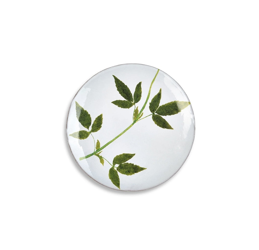 Astier-de-Villatte-Drachocephalum-leaf-plate-amarees