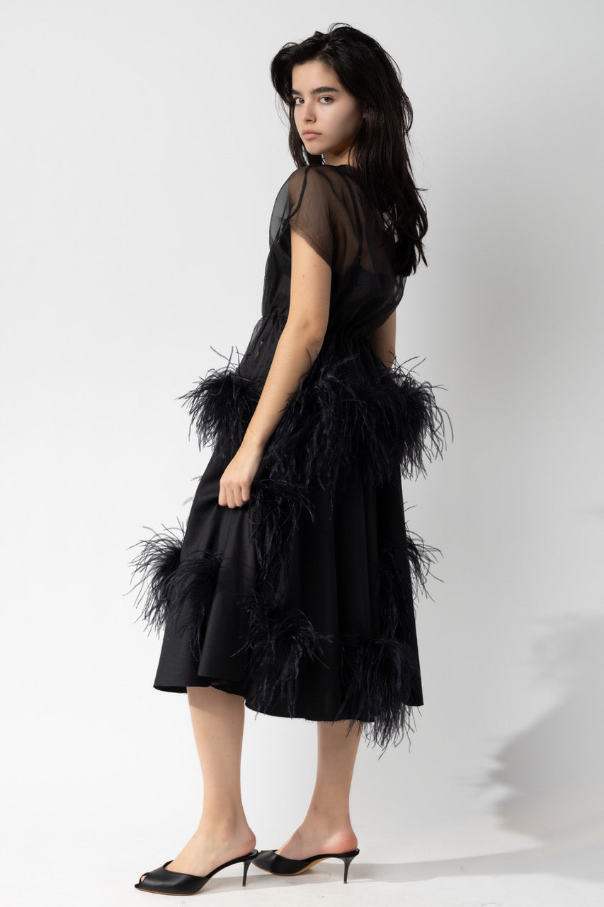 Skirt with Feathers
