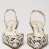 Manolo Blahnik Carolyne Gala Slingback Pump