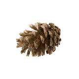 Latondra Large Bronze Pinecone