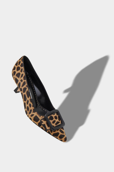 Maysale Mule