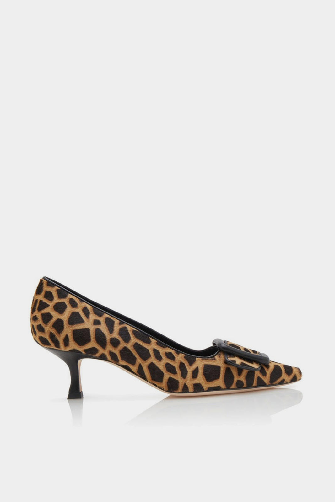 Maysale Mule