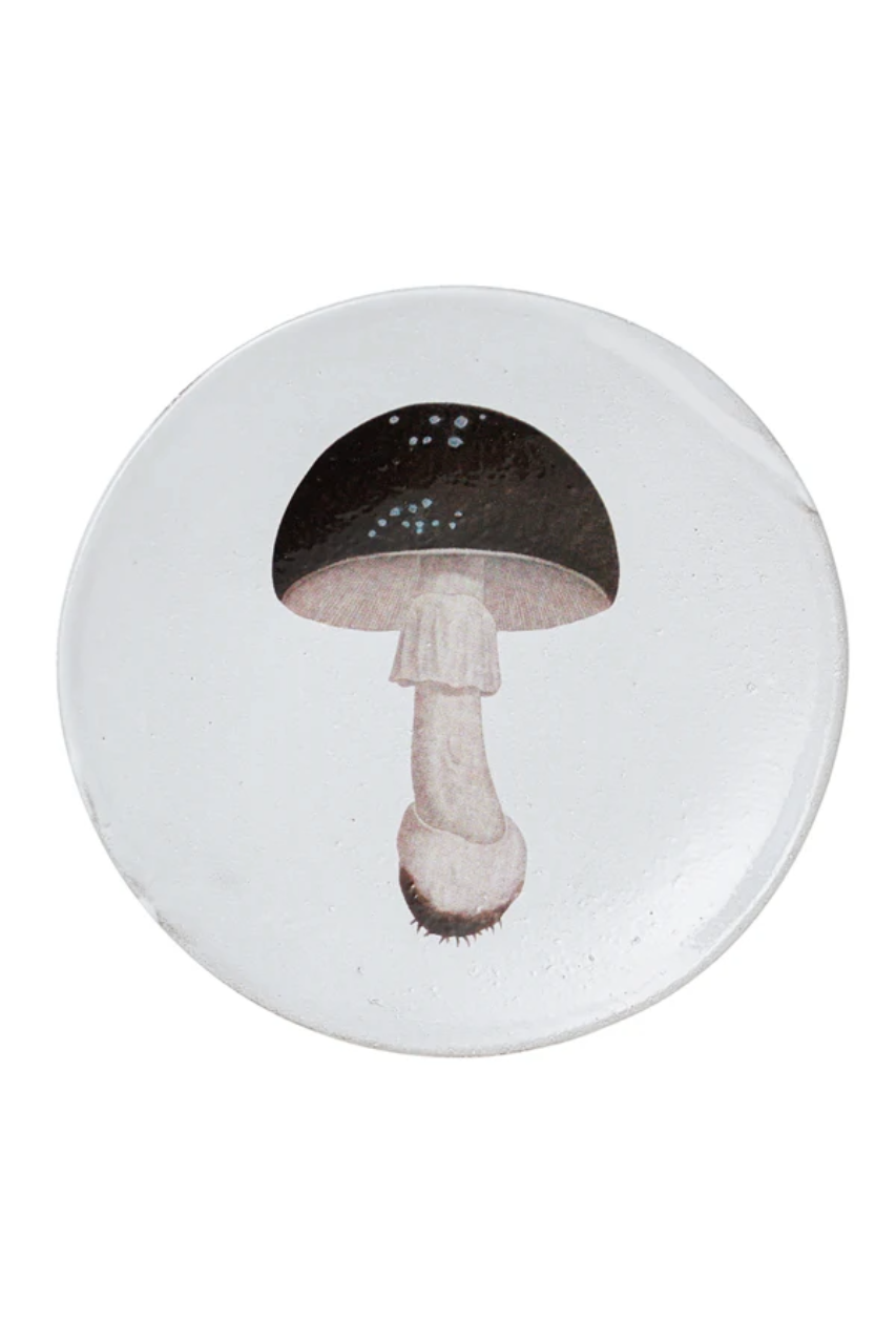 Agaric Fuligineux Plate - Medium