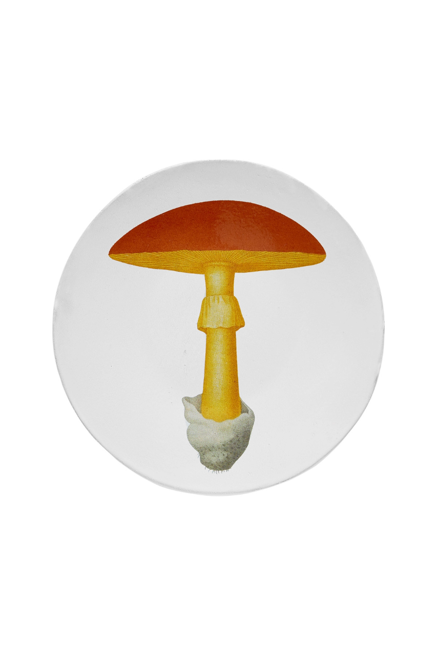 Agaric Yellow and Orange Plate - Medium