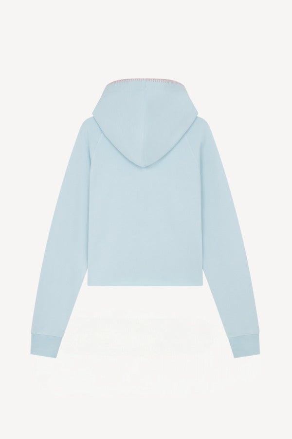 Back view of pale blue embroidered heart hoodie on white background, with no model shown.