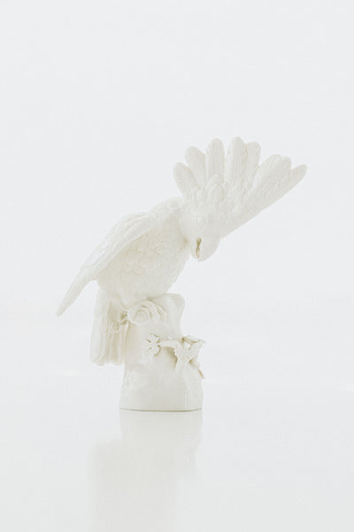 Pair of Small Nymphenburg Porcelain Cockatoos with Arched Wings Height: approx 8”